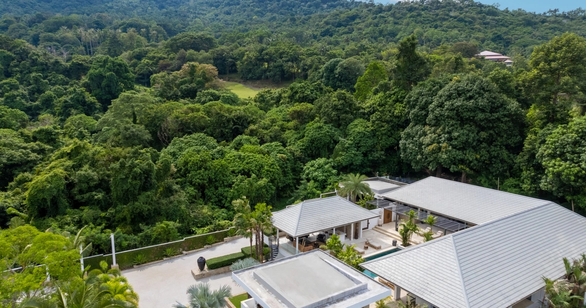 Villa Riverside exterior forest view
