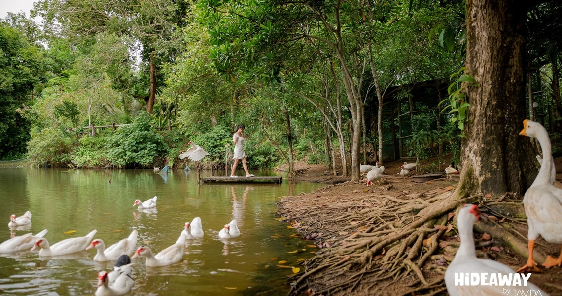 Tri Vananda  luxury villas landscape