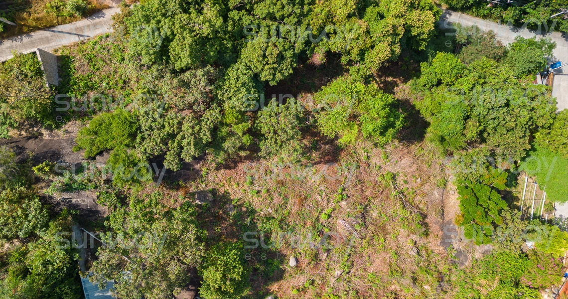 Land Seaview Chaweng Noi  -  Land plot