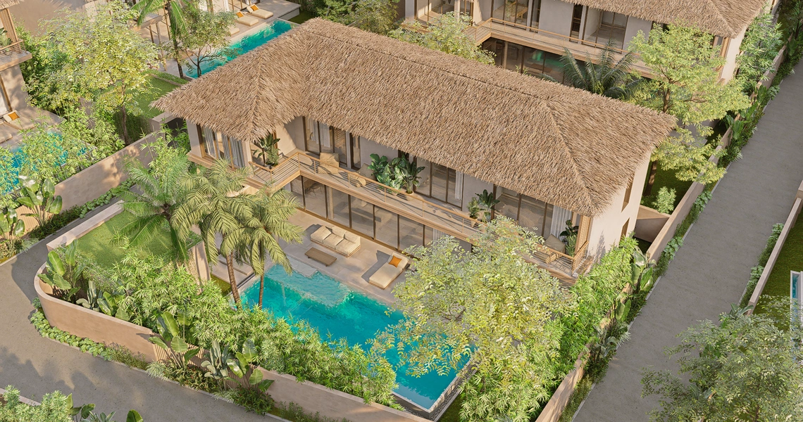 Pacific Noma - Over all