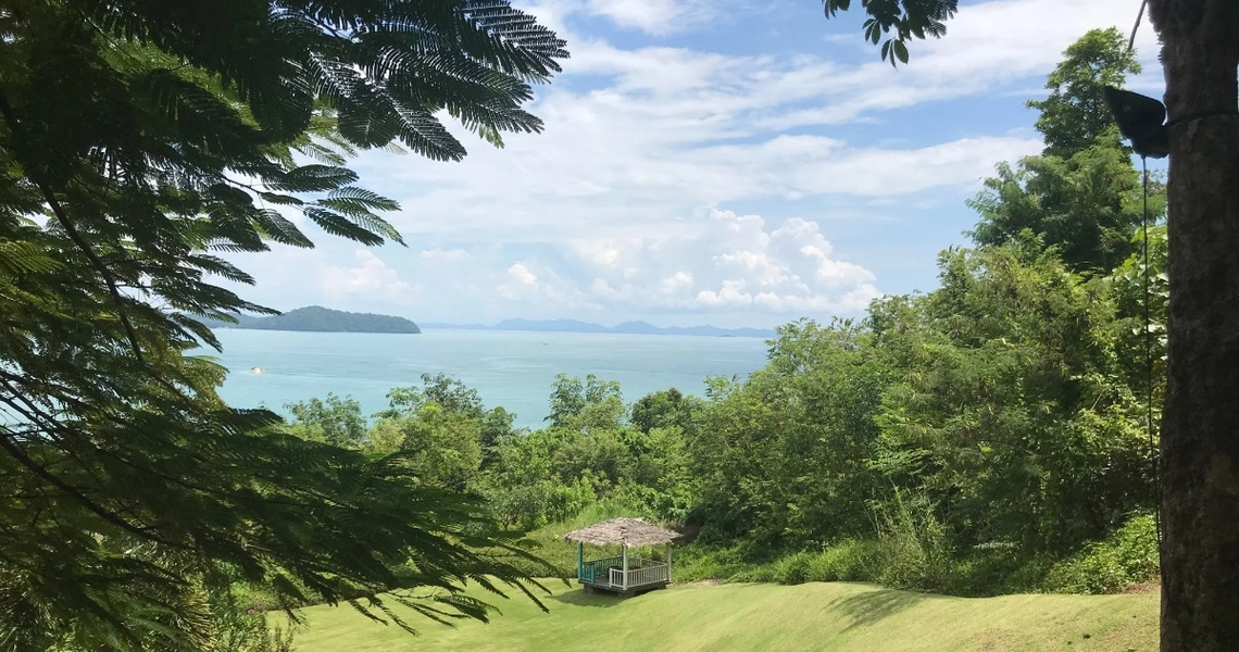 Tamarind Bay oceanfront land - Green area